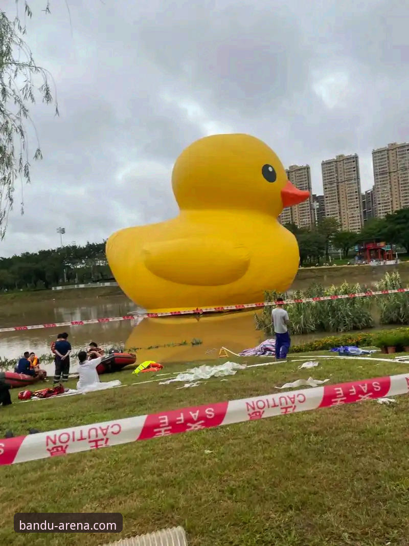 最新半岛体育用户指南详解：从下载到畅玩的完整攻略